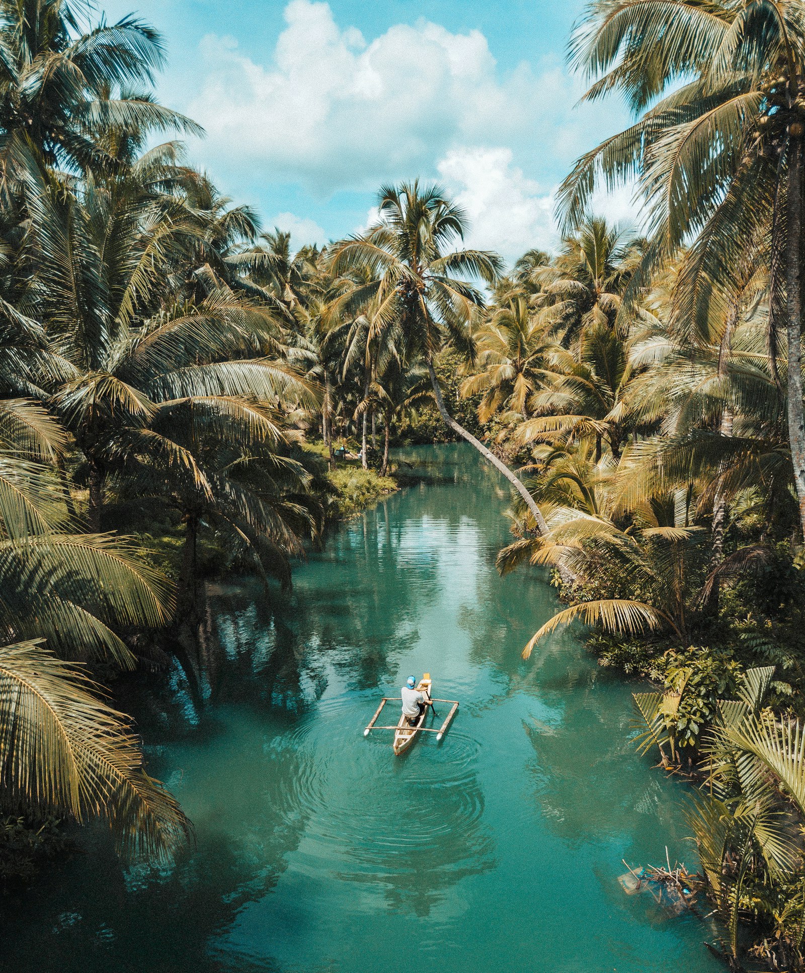 Costa Rica's Pacific Coast: Nature, Wellness, and a Softer Kind of Luxury