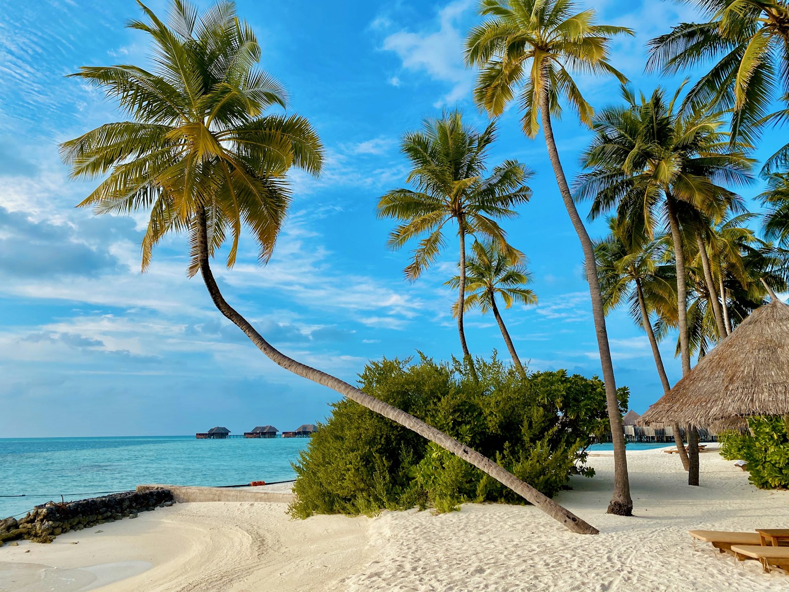 Turks & Caicos: A Quiet-Luxury Escape for Clear Water and Long Afternoons
